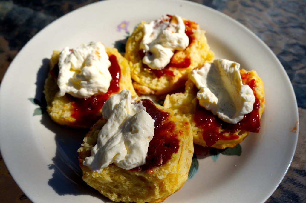 SeetheEP's tweet photo. For the most delicious scones in South Australia check out Schultz Quandong Farm Cowell. https://t.co/GV1qsFqMMR https://t.co/k6nbMNaIsi