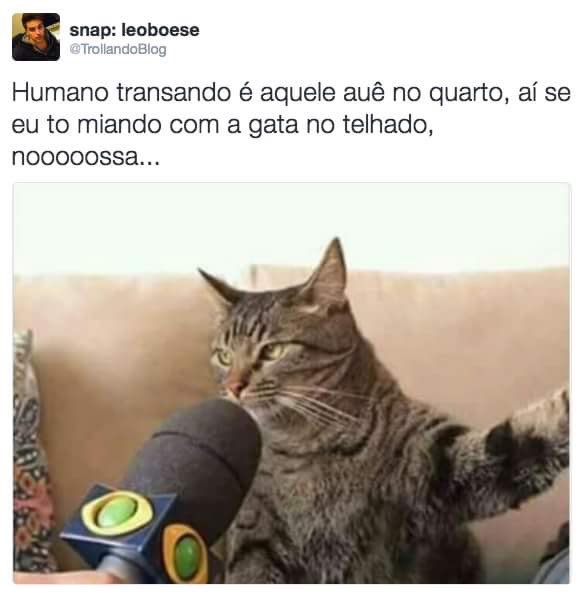 aIessandro_'s tweet photo. https://t.co/lUU5oBoOoM