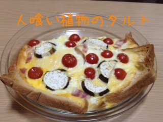 Chex Twitterissa ダンジョン飯の人喰い植物のタルト作ってみた ワ 迷宮には入れなかったので食材はスーパーで調達しました ダンジョン飯