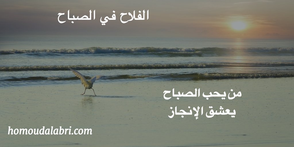 استغل عقلك في فترة الصباح هنا يكون الدماغ في أعلى مستوى الطاقة  وخاصة بعد نوم طبيعي في الليل