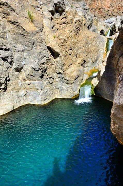 gL2GfRXGohn5rS9's tweet photo. #عطنا_صوره_من_تصويرك https://t.co/amlxB3agvk