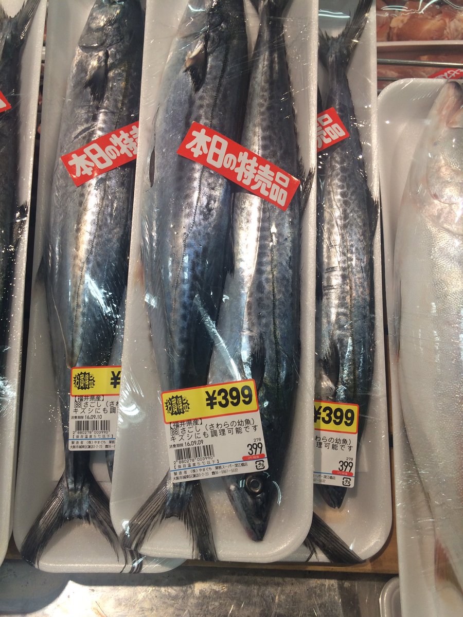 G S 釣り垢 على تويتر 悲しす 特にサゴシ まあ釣り味のおもろさはこの値段では買われへんけどな