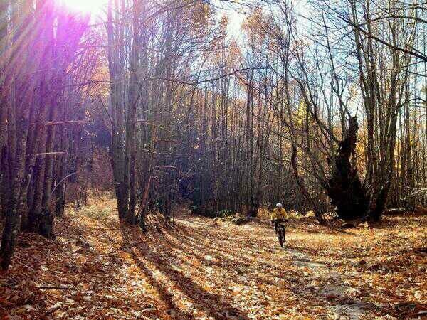 El que a fuego mata, a fuego muere. Así caigáis. #IFSanMartinDeTrevejo