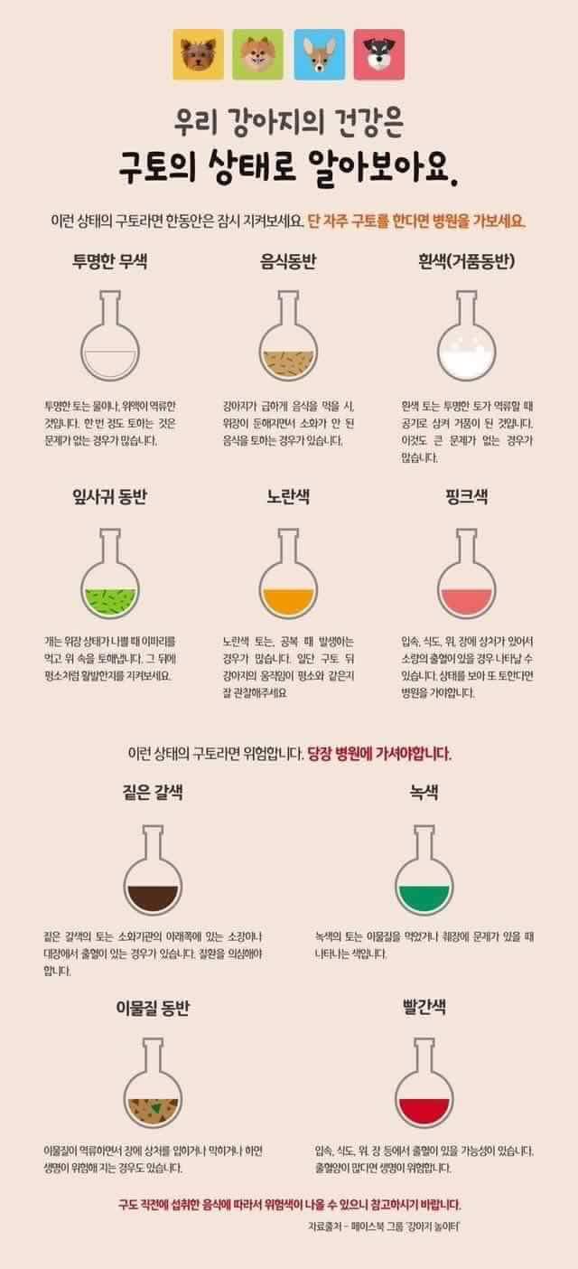 Z💕 개라 모르겠다 On Twitter: