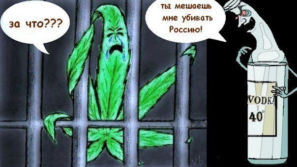 Днем рождения, картинки приколы с конопля
