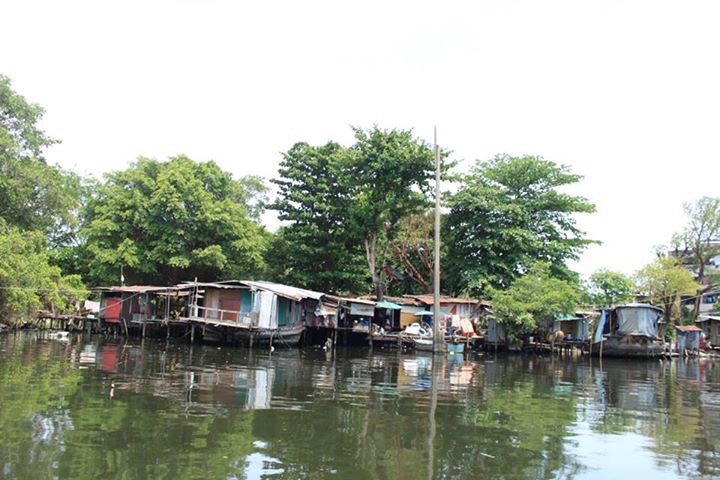 Chill & Wander tweet media