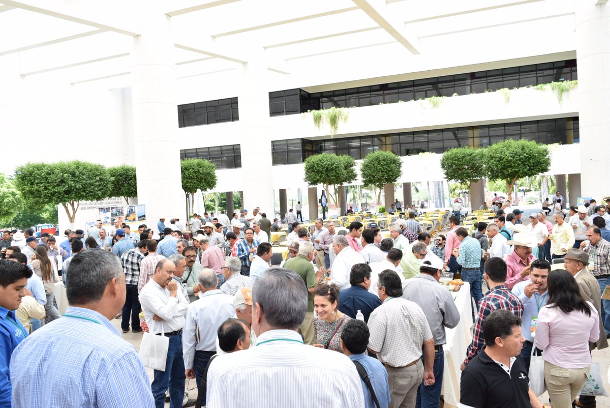 FIAS2017's tweet photo. #FIASA2016
Nuestros asistentes disfrutando del Coffe Break, para posteriormente dar inicio con  el "Foro de Discusión".

¡Disfrutemos! https://t.co/DAeTXSbSxr