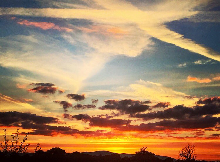 Victoria Richardson tweet media