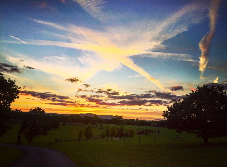 Victoria Richardson tweet media