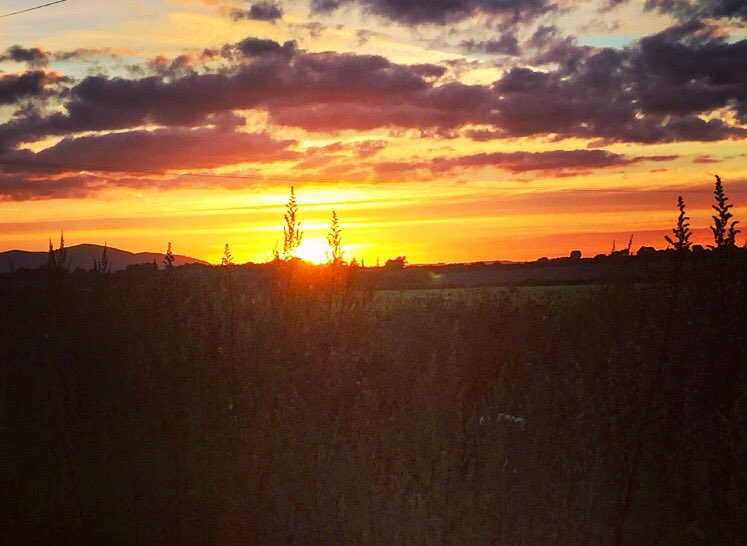 Victoria Richardson tweet media