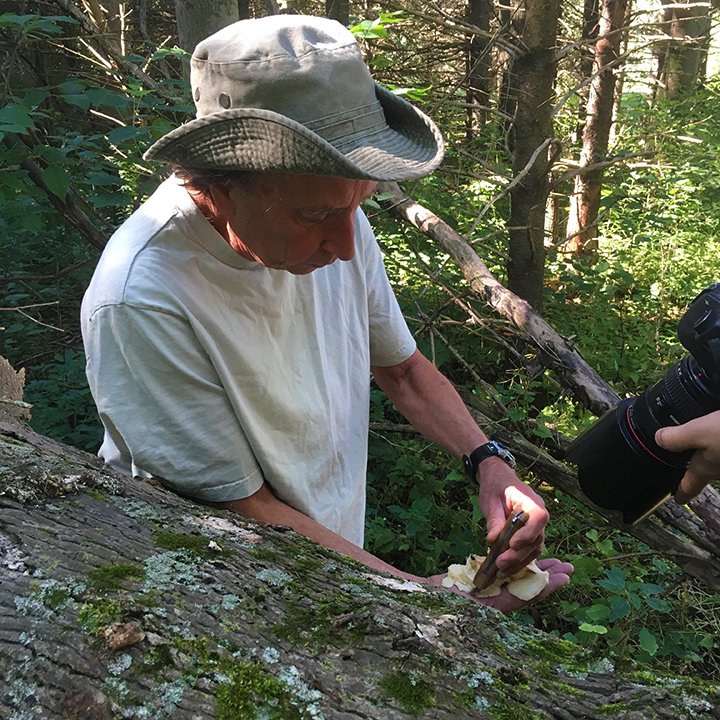 Wanna forage wild mushrooms? Fall guide from forager @PucksPlenty in
natpo.st/2cEqaWg via <a href="/nationalpost/">National Post</a>
