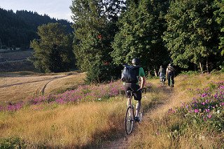 Parks bureau must address homeless campers before trails can be built at Gateway Green bikeportland.org/2016/09/22/par…