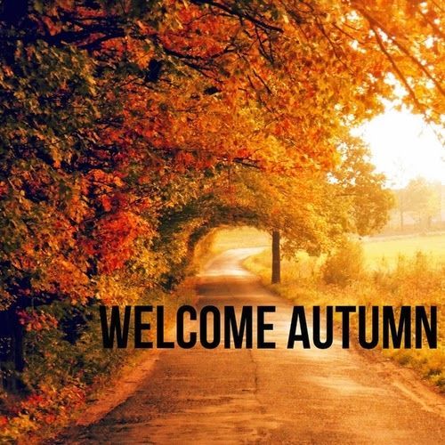 MilroServices's tweet photo. Happy #FirstDayofFall from us to you! #MilroServices #DKIMember #NewYork #Restoration #Water #Fire #Mold #Asbestos #Damage https://t.co/nZb32N7UN9