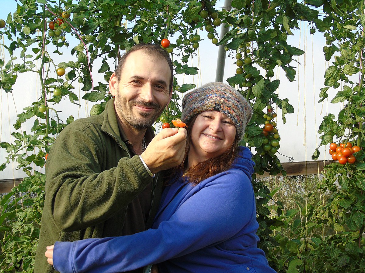 The lovely Julie & Bela @veg_box in the polytunnels on the farm #lastofthesummer tomatoes :)