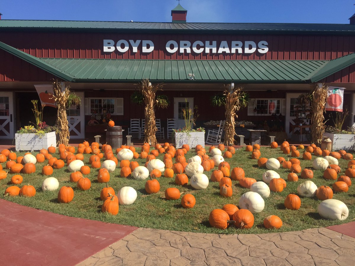 KelseyBorza's tweet photo. Boyd Orchards is open for business today after a huge fire behind the market last night. Two barns burned to the ground. See the video @12. https://t.co/Svg6es55nW