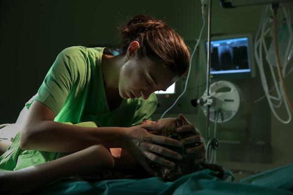 STUDIOLEQUIPE's tweet photo. #Ensor Beste Vrouwelijke bijrol Natali Broods @FFO_2016
voor #GallopingMind
@SavageFilm @EyeworksFilm @KFD_BE
#Postproductie #STUDIOLEQUIPE https://t.co/HOkYE94uIq