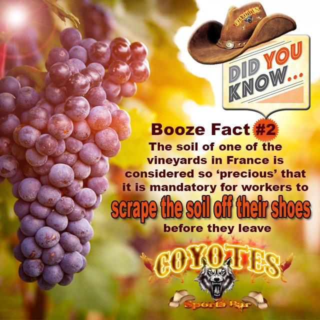CoyotesMargate's tweet photo. #Watchthisspace for more fun #facts about #booze from all around the world! https://t.co/HLyaVLjMLq #Alcohol #toast https://t.co/RQi2LRfQ70