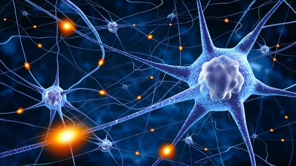 Xtalks's tweet photo. New Evidence Suggests #Nicotine Could Be #Neuroprotective
https://t.co/mndASqzpn3 https://t.co/iYiuU60Lif