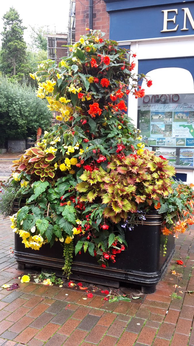 WilmslowInBloom's tweet photo. These tiered planters are so gorgeous still @OakNurseries #Wilmslow https://t.co/UYX2O4kgv3