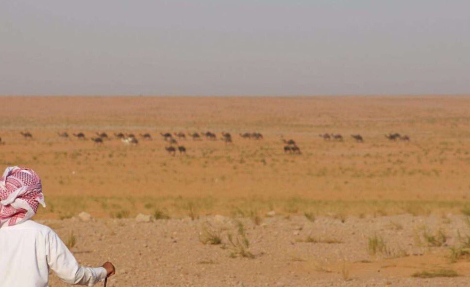 الله اكبر لا تفكرت في بعض الأمور 
معضلات تعجز ادهى العقول تحلها

#تصويري