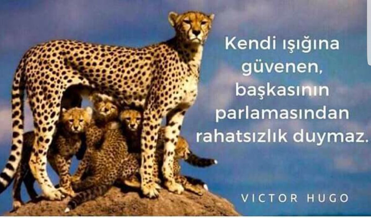 TansuYegen's tweet photo. Kendi ışığına güvenen... https://t.co/C60kziUR9f