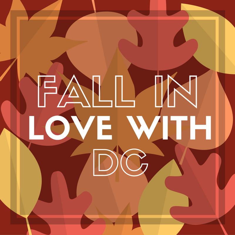 AU_WSP's tweet image. Join us this Saturday as we kick off Fall in the city with @dcunited at RFK stadium! #wspintern #wsp2016 #fallindc