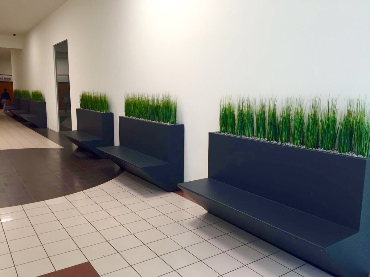 JanMekel's tweet image. De zuiderburen ook weer vereerd met hoog bezoek. Maatwerk bakken gevuld met strakke grasplanten.