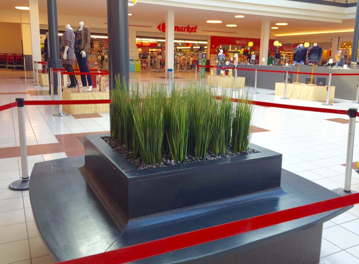 JanMekel's tweet image. De zuiderburen ook weer vereerd met hoog bezoek. Maatwerk bakken gevuld met strakke grasplanten.