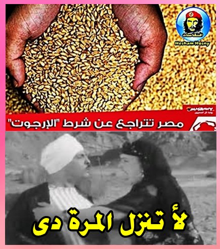 الحكومة و حنفى و القمح  