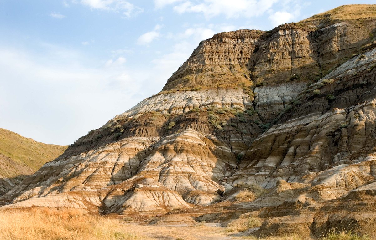 Dinosaurs are too old to be carbon dated. Instead, the rocks around them are dated using elements like uranium. #Scilit16