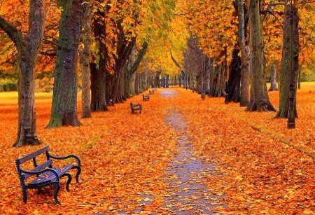 FeelGoodTweetz's tweet photo. I love this season 😍🍂🍁🎃 https://t.co/QCNdyn32Hf