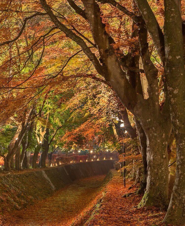 FeelGoodTweetz's tweet photo. I love this season 😍🍂🍁🎃 https://t.co/QCNdyn32Hf