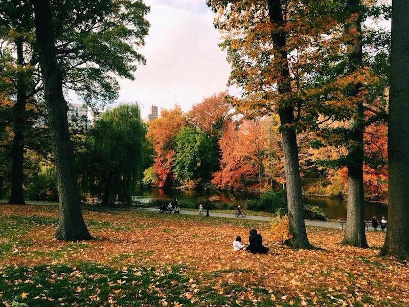 FeelGoodTweetz's tweet photo. I love this season 😍🍂🍁🎃 https://t.co/QCNdyn32Hf