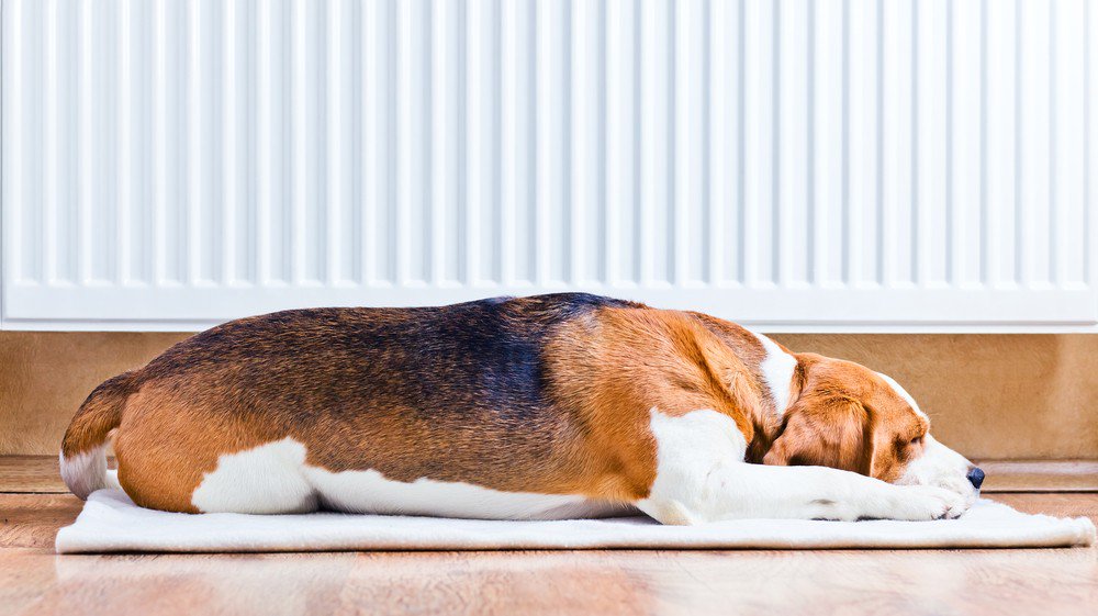 Boilertrust's tweet photo. Looking at central heating &amp; boiler replacement companies you can trust. Try Boilertrust's Abingdon &amp; OX14 service. https://t.co/rtfEi9Qxld https://t.co/D0Beez83OJ