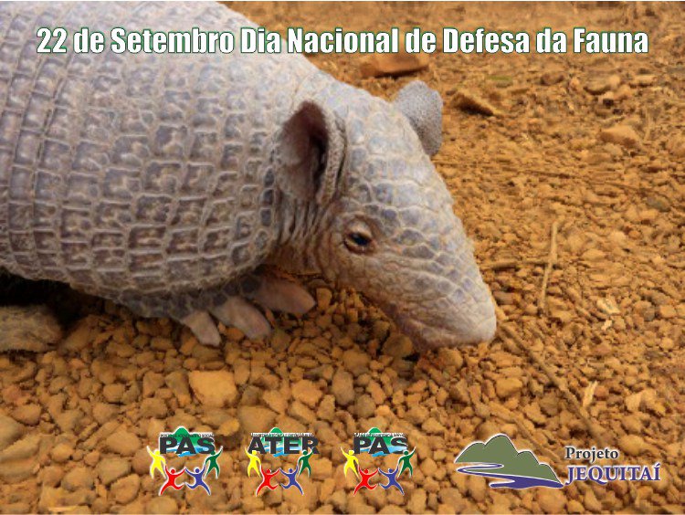 ProjetoJequitai's tweet photo. 22 de setembro – Dia Nacional de Defesa da Fauna https://t.co/sine3dgsUv https://t.co/7uo2bN6V03