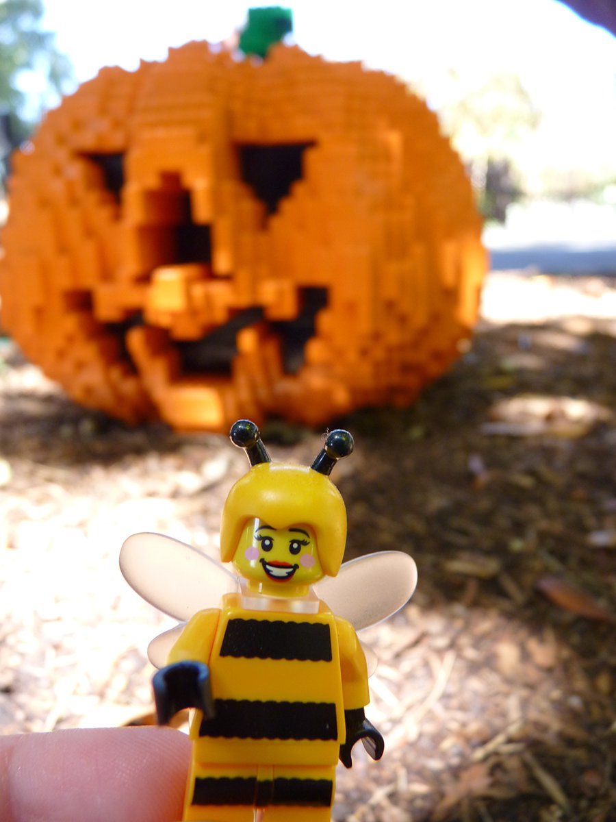 Fall has officially begun and the buzz around the brick is that #BrickorTreat is going to BEE the best party ever!
