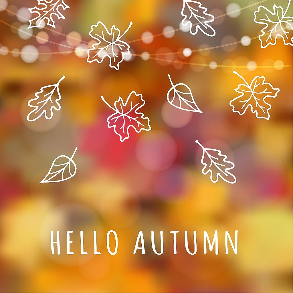 blackdeckerhome's tweet photo. Happy First Day of Fall! #firstdayoffall https://t.co/1rWotc9c6a