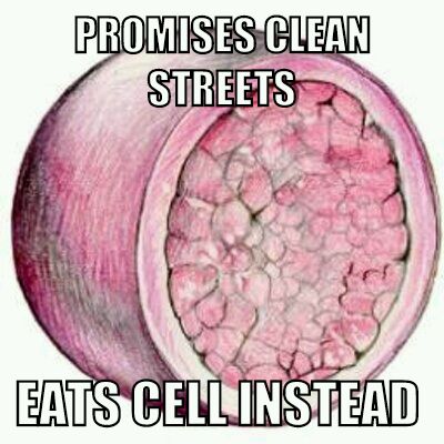 rib0somes's tweet photo. https://t.co/MJHHuk7bkO