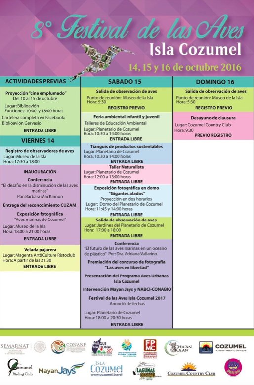 VisitCozumel's tweet photo. Participa en las actividades del #FestivalDeLasAves del 14 al 16 de octubre. #AmaCozumel https://t.co/S2baVDMWEH