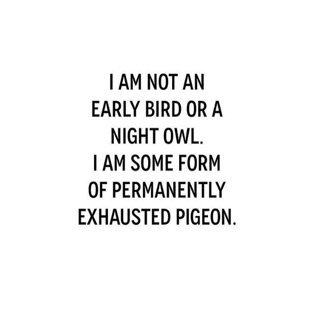 RebeccaMinkoff's tweet photo. 🐦 #mood https://t.co/yN5Zdhbb74
