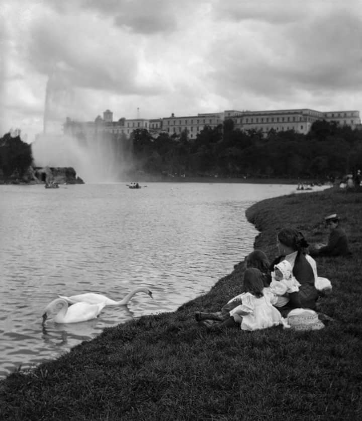 fer_botello's tweet photo. Un día de campo en Chapultepec durante los años veinte. https://t.co/6iic9JLHLU