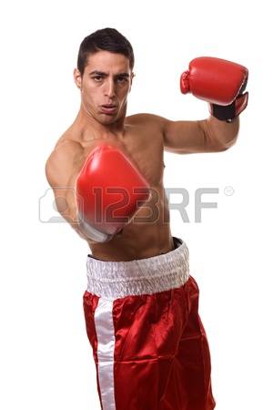 ZXInsanity's tweet photo. @EquestriaNow fight me irl https://t.co/WUEnw6TdjU