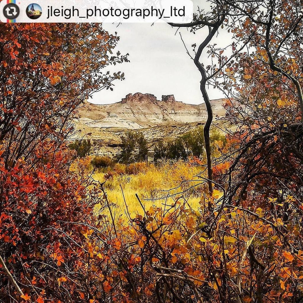 SweetwaterNOW's tweet photo. Sweetwater Country is wearing the #fallcolors well in this shot taken by @jleigh_photography_ltd. #viewfromyou #out⦠https://t.co/Usn64GgqJw