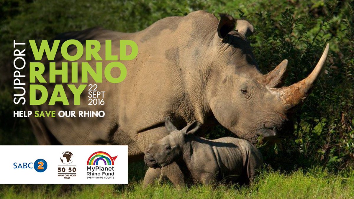 WOOLWORTHS_SA's tweet image. Catch @5050TV on @SABC2 tonight at 8PM. Catch the repeat this Sunday at 1.30PM #WorldRhinoDay