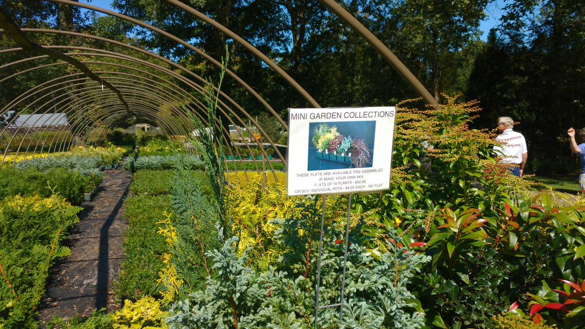 OrnamentalBreed's tweet photo. Summer Hill Nursery's 'Mini gardens' are a strong fall seller. https://t.co/ZinnCy2L2S