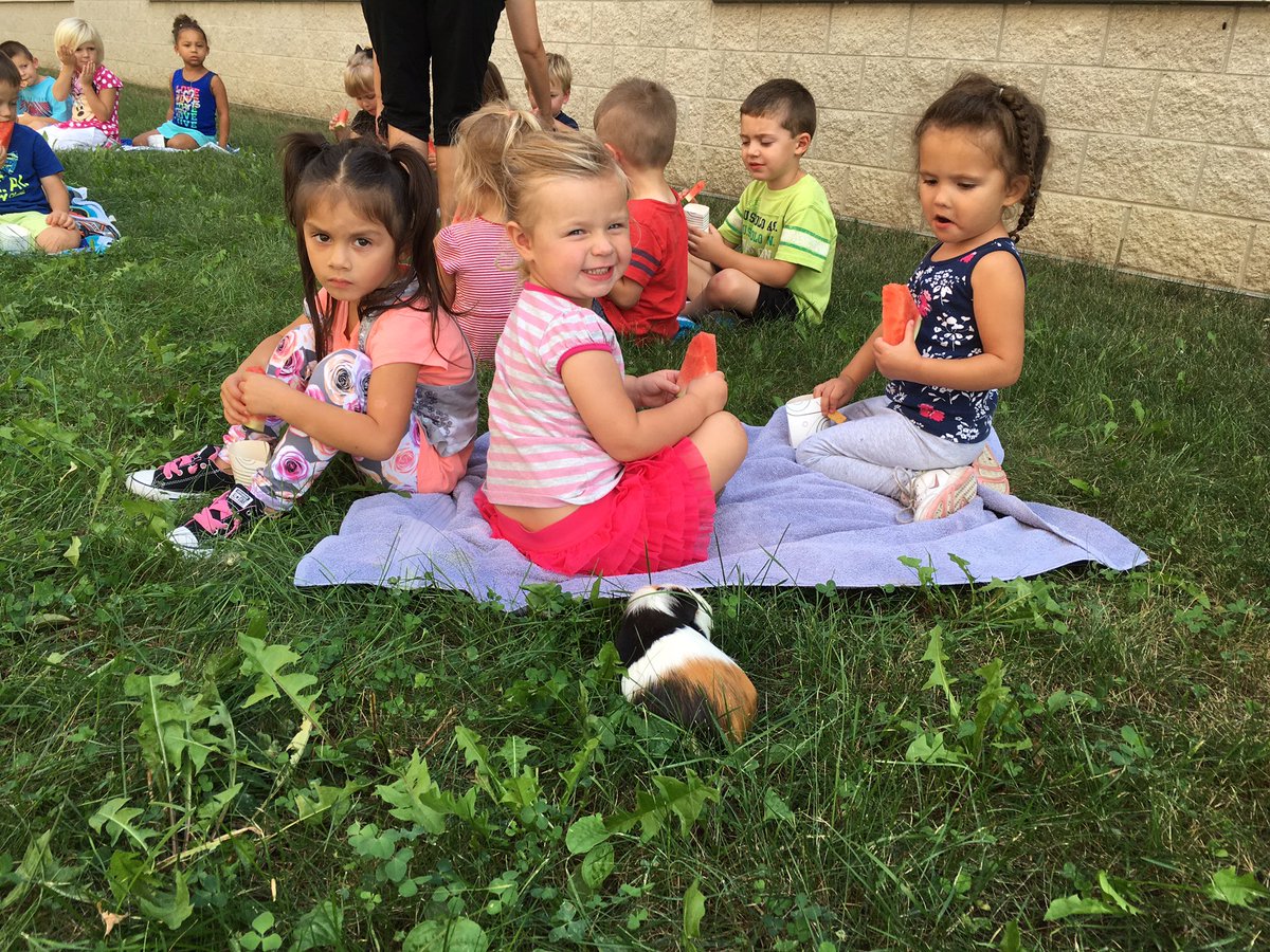 OtsegoPreK's tweet photo. Snack time with Cream, Ms. Sue's classroom Guinea pig! #OtsegoKnights #preschoolrocks https://t.co/WWN8d0TCWI