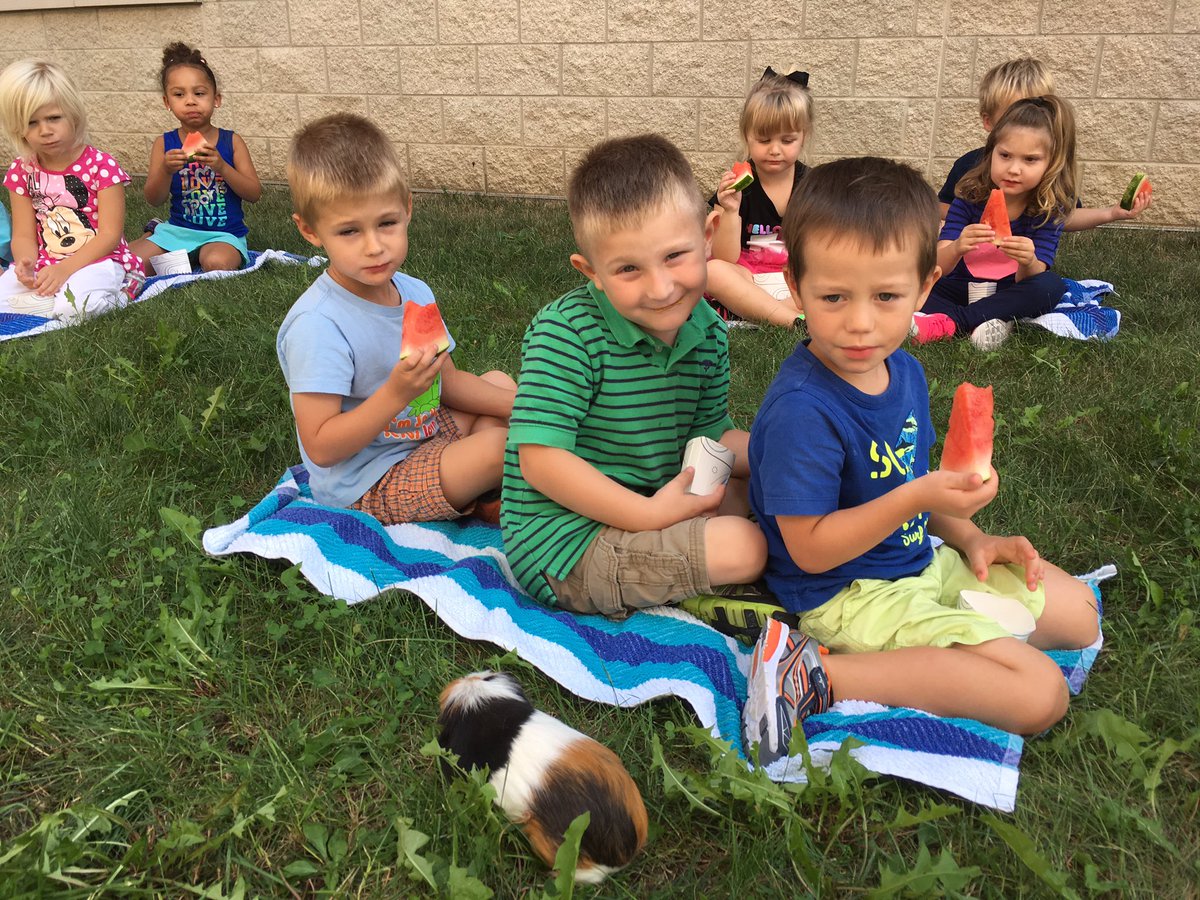 OtsegoPreK's tweet photo. Snack time with Cream, Ms. Sue's classroom Guinea pig! #OtsegoKnights #preschoolrocks https://t.co/WWN8d0TCWI