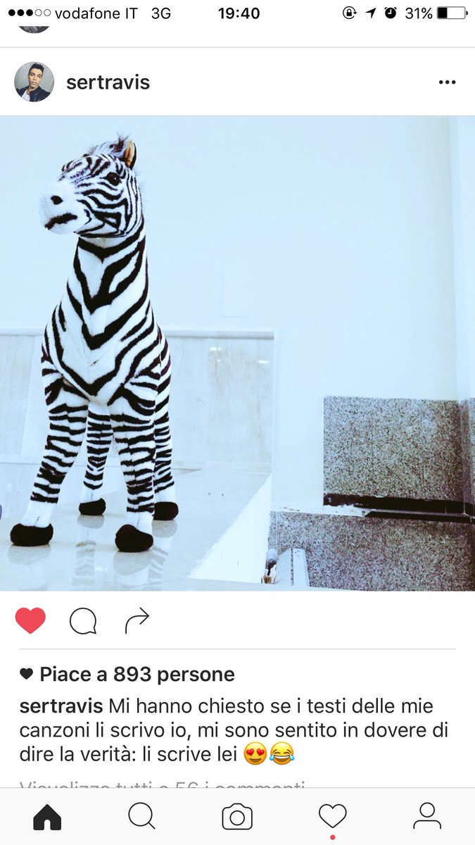 lazebraswag's tweet photo. Io scrivo i testi a @SerchoUfficiale #Zebry https://t.co/ytux4aqnLo