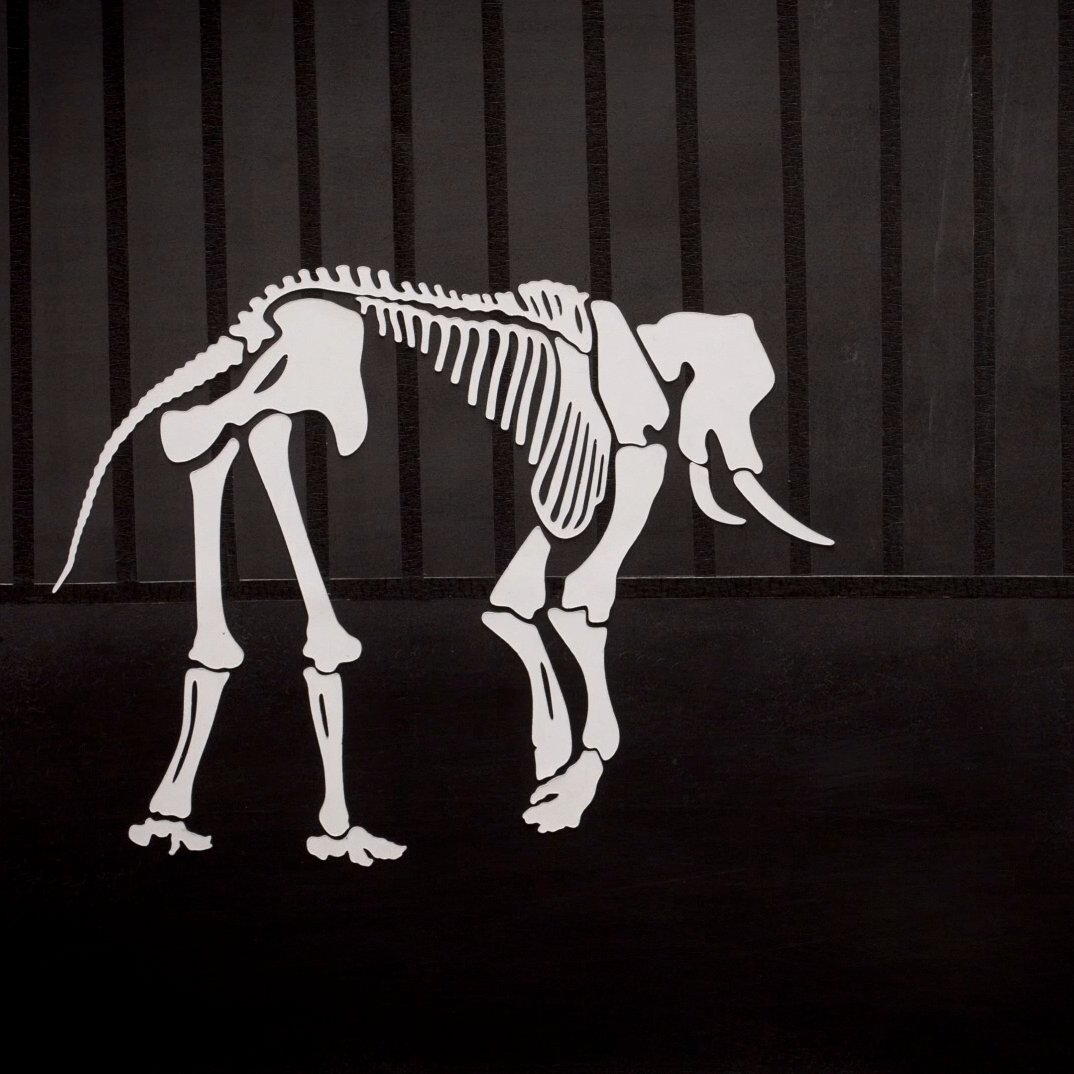 eleekelly's tweet photo. https://t.co/MmZjnJtzF3 #BeastAndBones BEAST AND BONES on Youtube Episode 1 "Cage, Night", Episode 2 "Grassy", Episode 3 "Updraft", "Flee" https://t.co/hx6ac7noTs