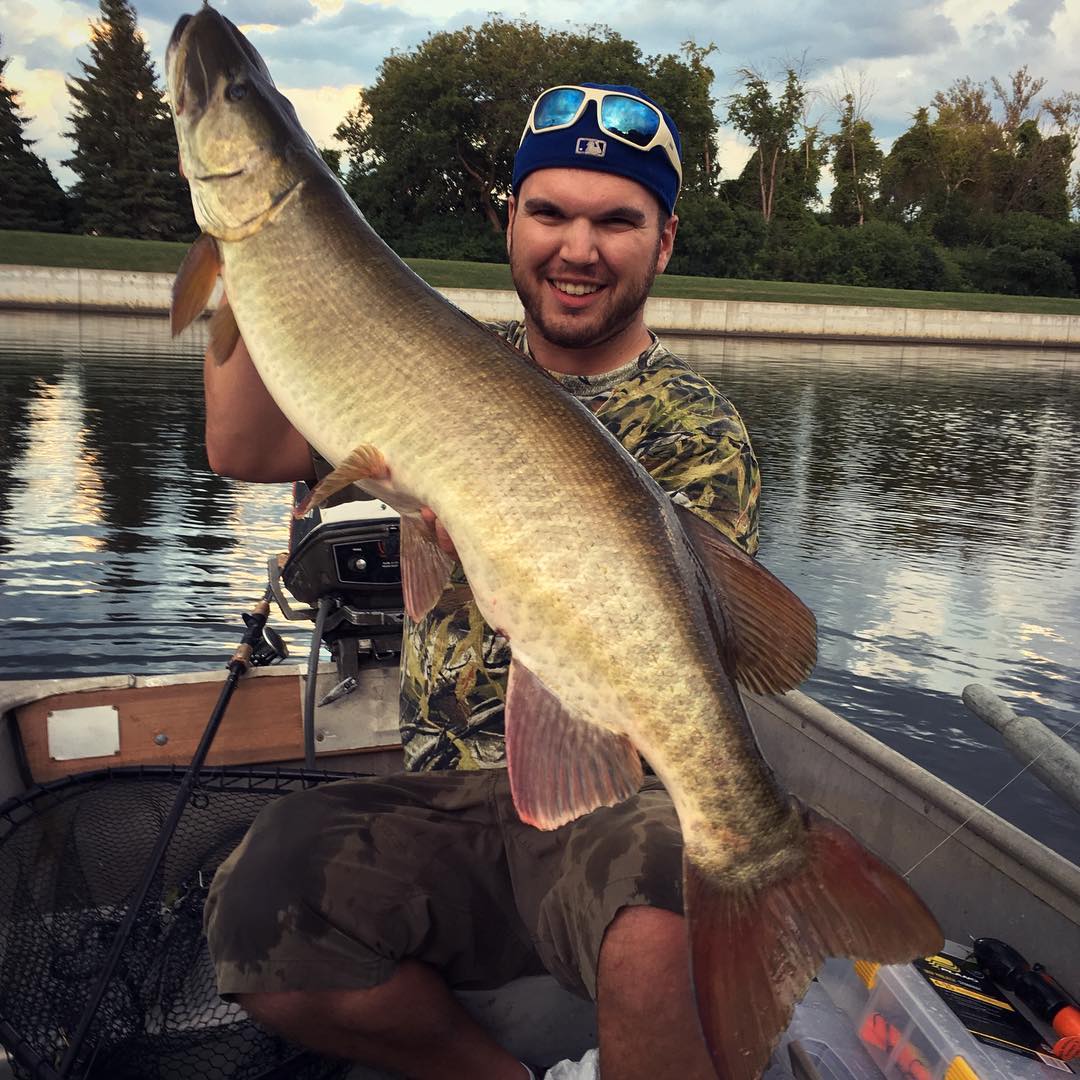 Hey musky guys! Check out our new musky fishing article with Ontario Alex Nutt.  ow.ly/s3fu304t7C3 #Ontario #Fishing <a href="/FrayNRelease/">Fray'N Release</a>